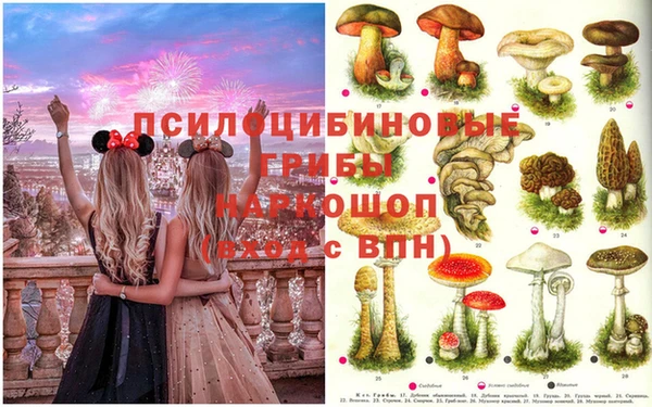 герыч Балахна